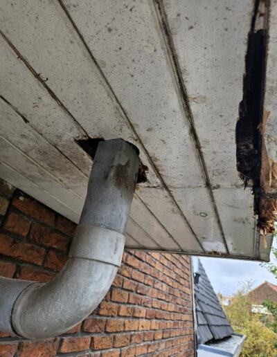 Klusbedrijf Roby - Houtrot reparatie