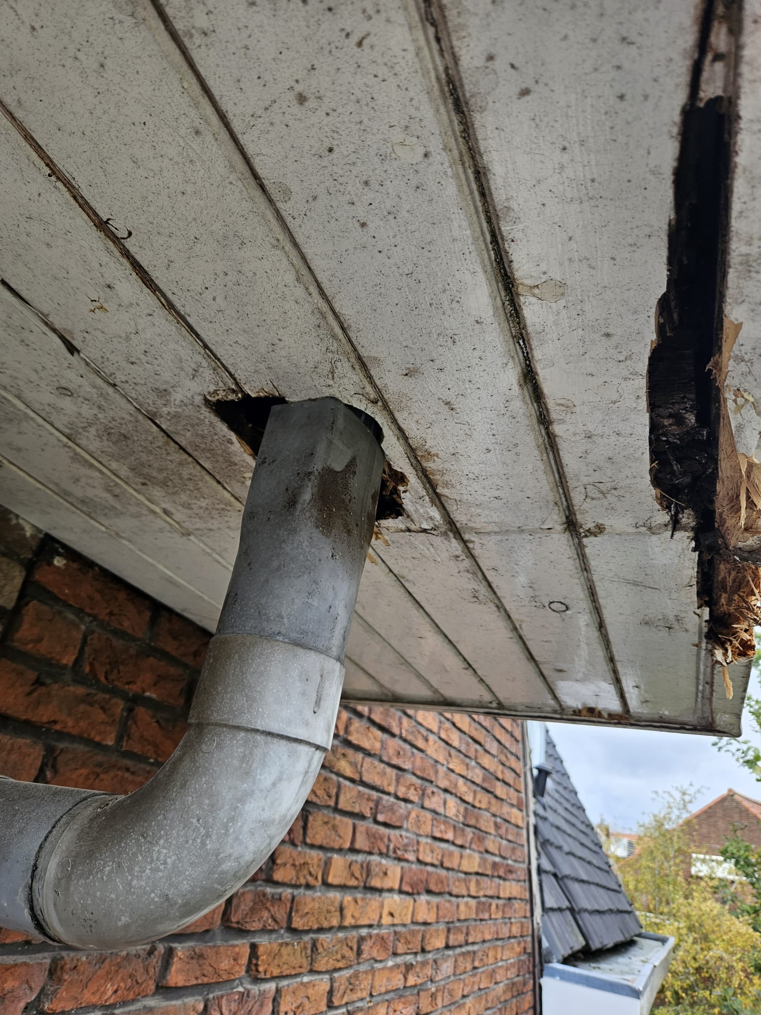 Klusbedrijf Roby - houtrot reparatie Klusbedrijf Roby - houtrot reparatie